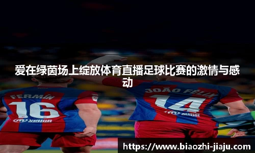 星欧娱乐